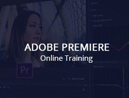 online adobe premieare training in ameerpet